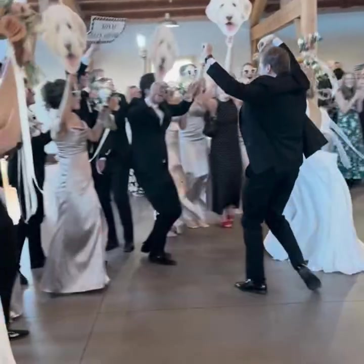 Wedding Reception